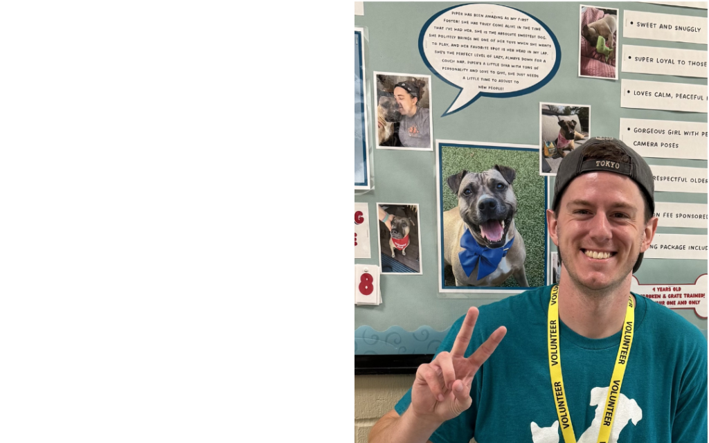 Volunteer Feature Insta GBP 15