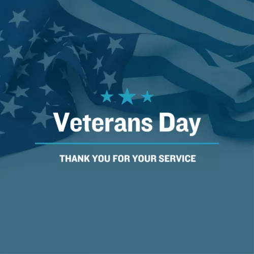 Veterans Day Newsroom