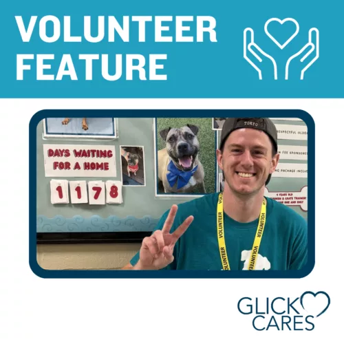 Volunteer Feature Insta GBP 14